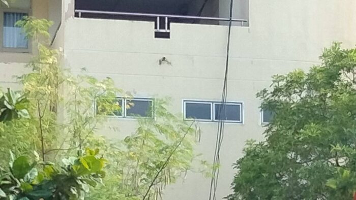 Студент выжил после падения с пятого этажа в университете Накхонратчасима