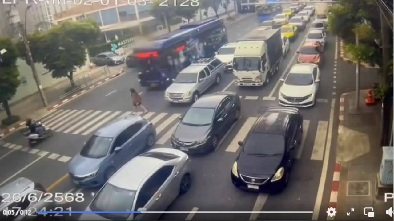 Студент выжил после столкновения автобуса на пешеходном переходе в Бангкоке (видео)