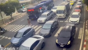 Студент сбит автобусом, пока переходил по зебре