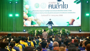 Таиланд запускает план стоимостью 1 миллиард бат для борьбы с избытком лонгана на севере