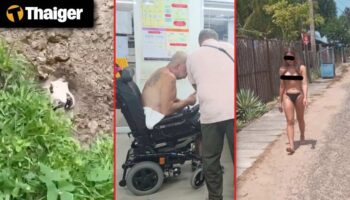 Тайланд Видео Новости | Волнение на Пхукете после того, как иностранный житель allegedly закопал собаку заживо, Топлесс тайская трансженщина поймана за пляжным трюком в Шри-Ланке