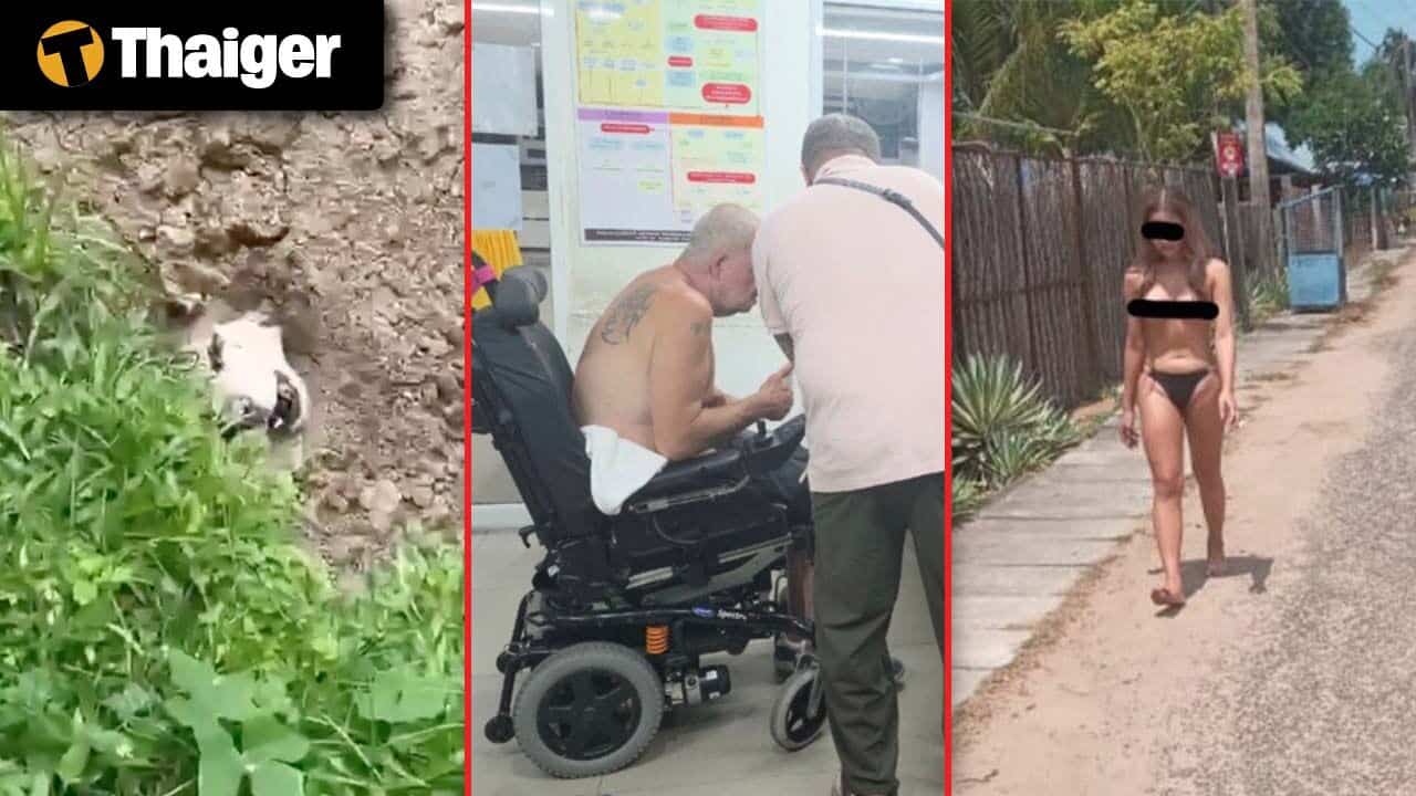 Тайланд Видео Новости | Волнение на Пхукете после того, как иностранный житель allegedly закопал собаку заживо, Топлесс тайская трансженщина поймана за пляжным трюком в Шри-Ланке