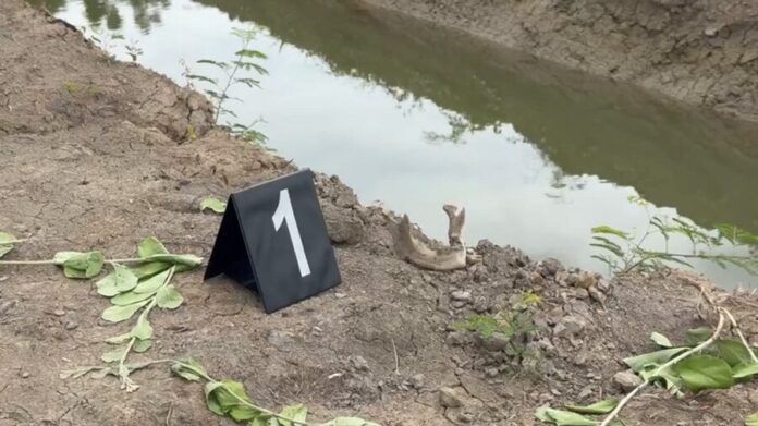 Тайна: человеческий череп найден в кокосовой рощи Самут Сонкхрам