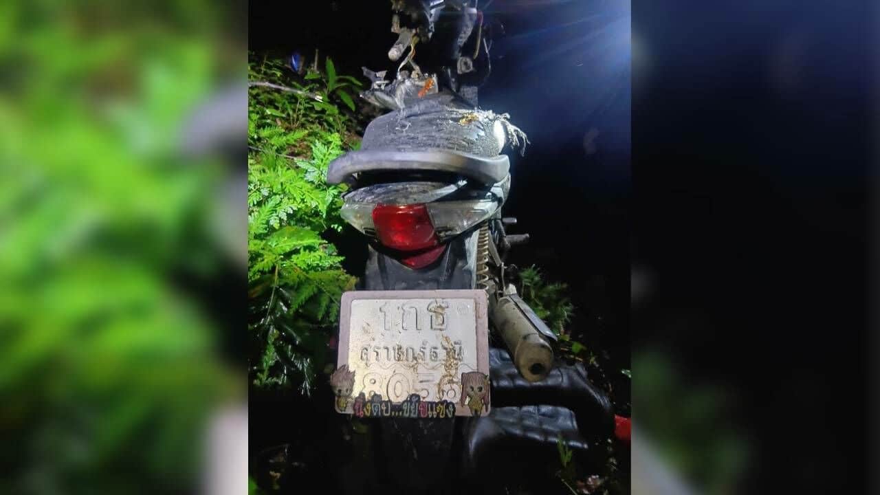 Тайская женщина погибла в атаке дикого слона в лесу Сура Тхани