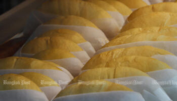 Тайский Дуриан: сильный запах, смелый вкус - 'Король фруктов'