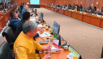 Тайский сенат рассматривает законопроекты об амнистии, исключая коррупцию во время обсуждения lèse-majesté