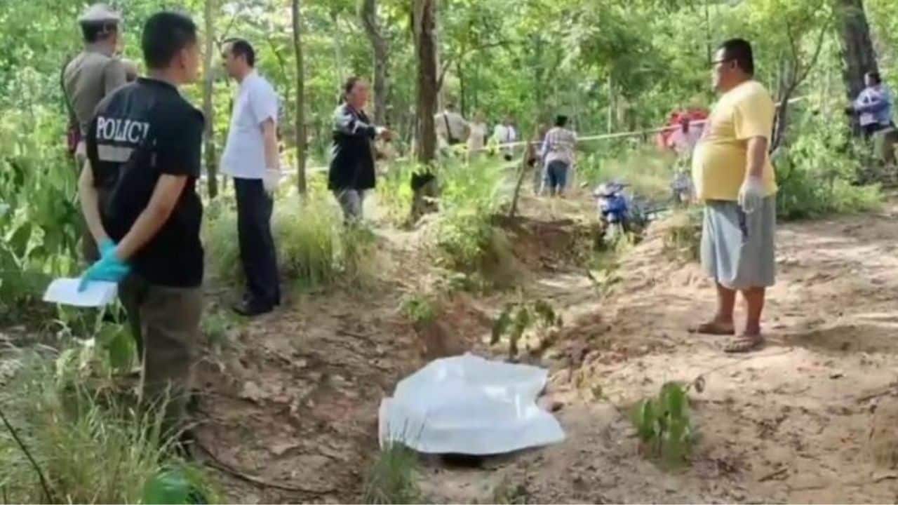 Тело пропавшего человека найдено в лесу после недели поисков