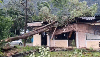 Тропический шторм Уипха обрушился на Пхукет и Пханг Нга — дома, деревья и рекламные щиты повреждены порывистым дождем