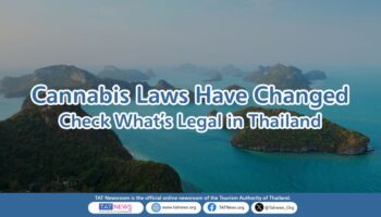 Туристическое управление Таиланда разъяснило новый статус каннабиса