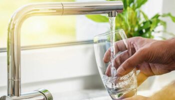 Университет Чианг Май предупреждает о смертельно опасном заболевании, поедающем мозг