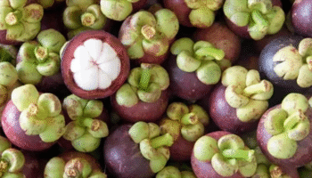 Южные тайские мангостины пользуются большим спросом, так как министерство торговли расширяет внутренние каналы распределения.