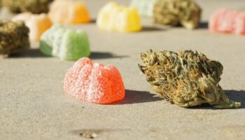 FDA ужесточает контроль за незаконными каннабис-продуктами в Таиланде