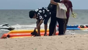 Hare-rest him! Пляж Банг-Сэйн, йоб, осужденный за жестокое обращение с больным кроликом