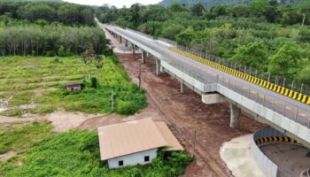 Thailand builds giant bridges to save wild elephants from roads