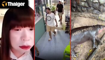 Thailand video news | Русские туристы украли каннабис на сумму 160 000 бат из тайской клиники, вертолет полиции Малайзии разбился во время учений