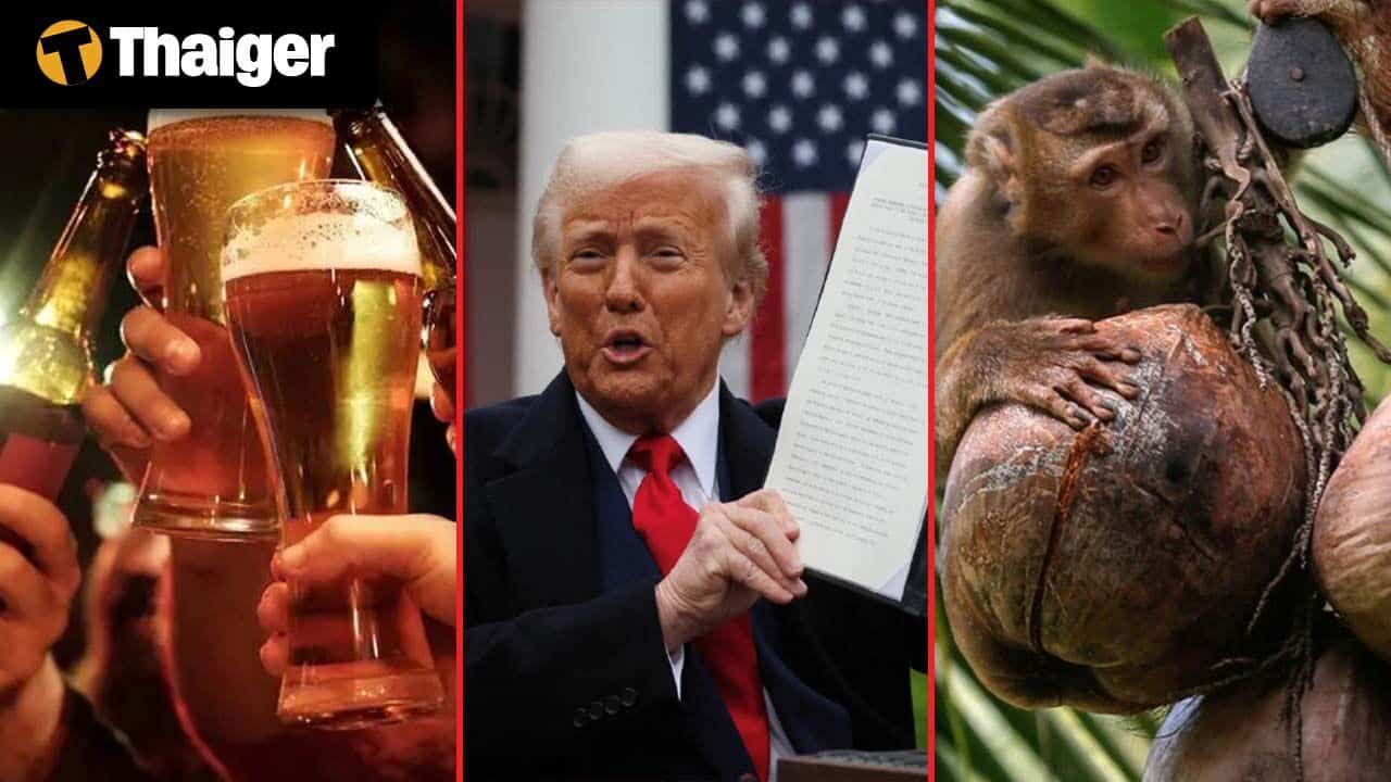 Thailand Video News | Трамп нацеливается на тайские импорты с тарифом 36% в рамках эскалации торгового давления, Таиланд запрещает использование труда обезьян в кокосовой промышленности на фоне глобальной реакции.