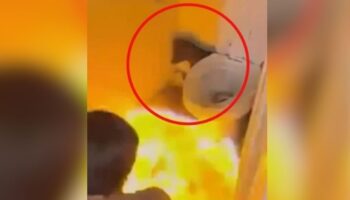 3 подростка арестованы за сжигание собаки-инвалида в храме Лампанга