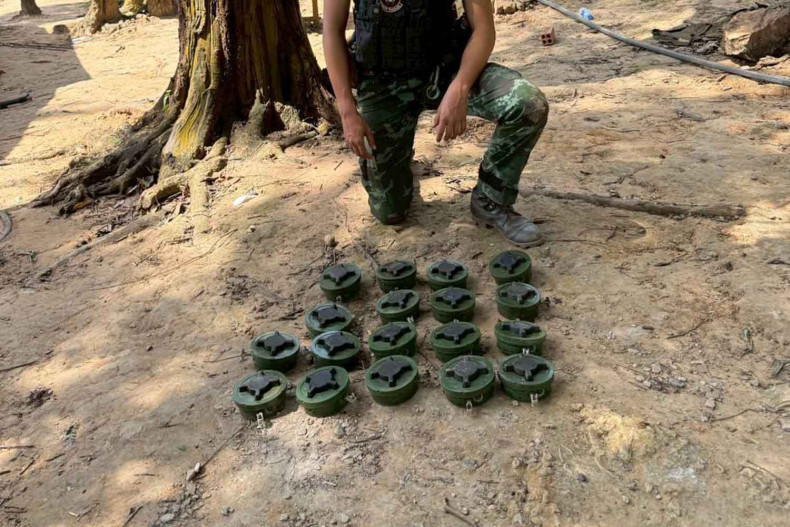 50 послов получат брифинг по нарушениям, связанным с минами.