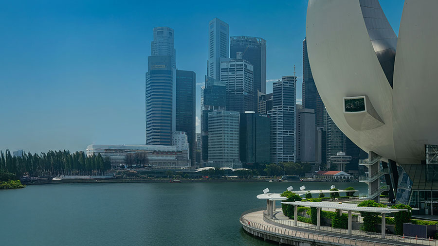 Введение в бизнес в Сингапуре 2025