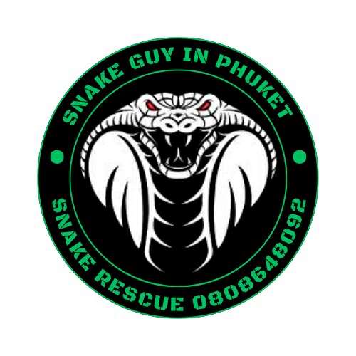 Гигантский питон пойман в саду на Пхукете британским волонтером