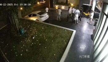 Дорогая доставка крабов приводит к жестокой драке в Паттайе