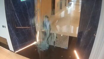 Дочь требует ответственности после того, как мать пострадала от разбитой стеклянной двери