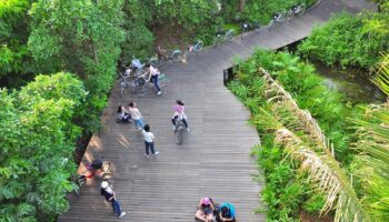«Зелёные лёгкие» Бангкока поддерживаются тайско-норвежским проектом
