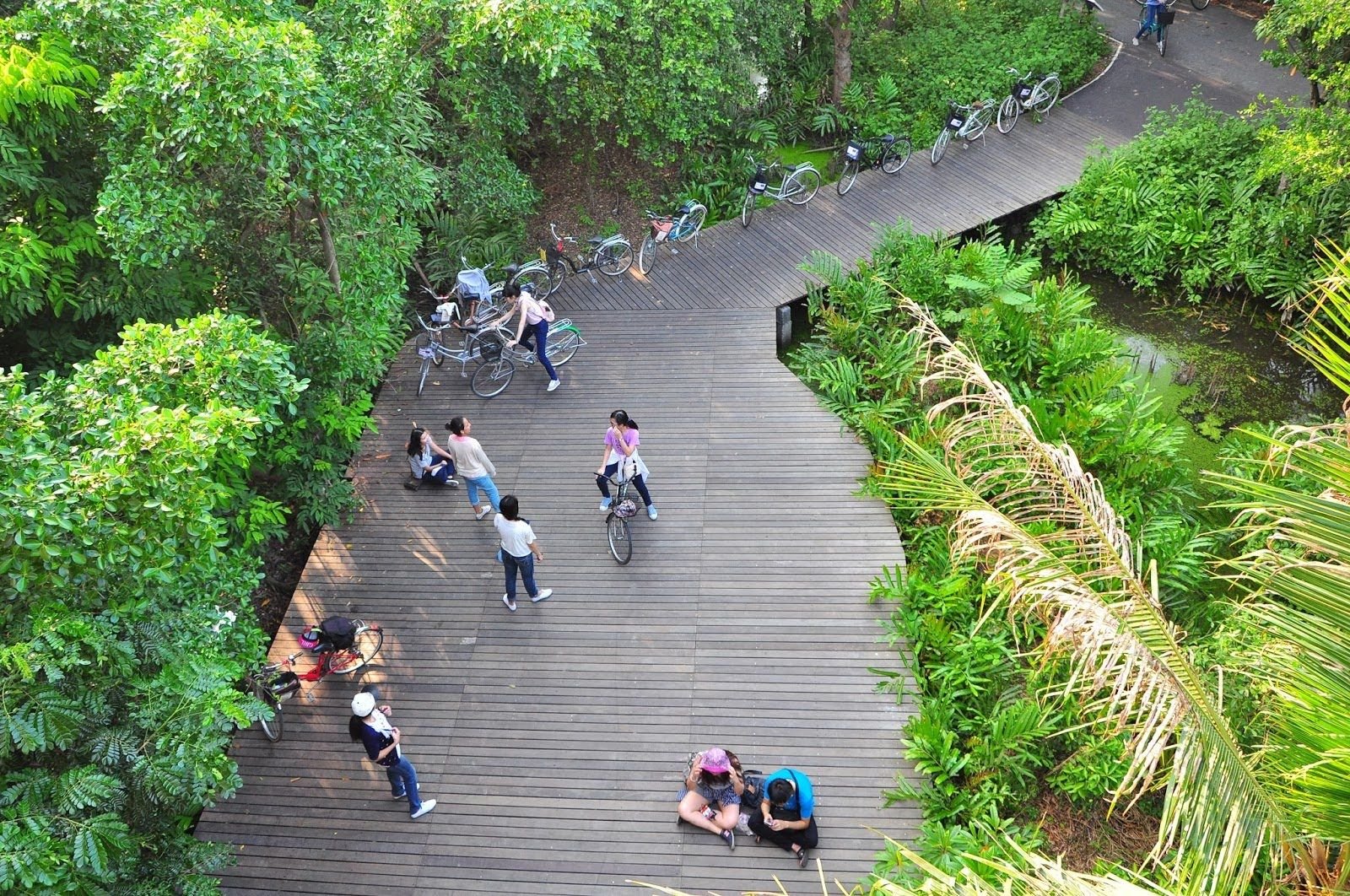 «Зелёные лёгкие» Бангкока поддерживаются тайско-норвежским проектом