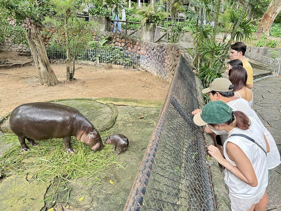 Зоопарк Као Кхео расследует драму с нарушителем в позднее ночное время