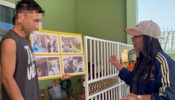 Любители животных требуют действий в отношении жителя Сонгкхлы после смерти более 10 усыновленных котов