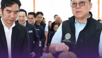 Министерство торговли поддерживает экспорт замороженного дуриана для стабилизации доходов фермеров