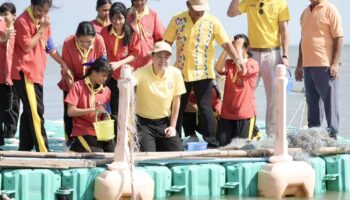 Паттайя запускает экотуристический проект для повышения уровня морской жизни