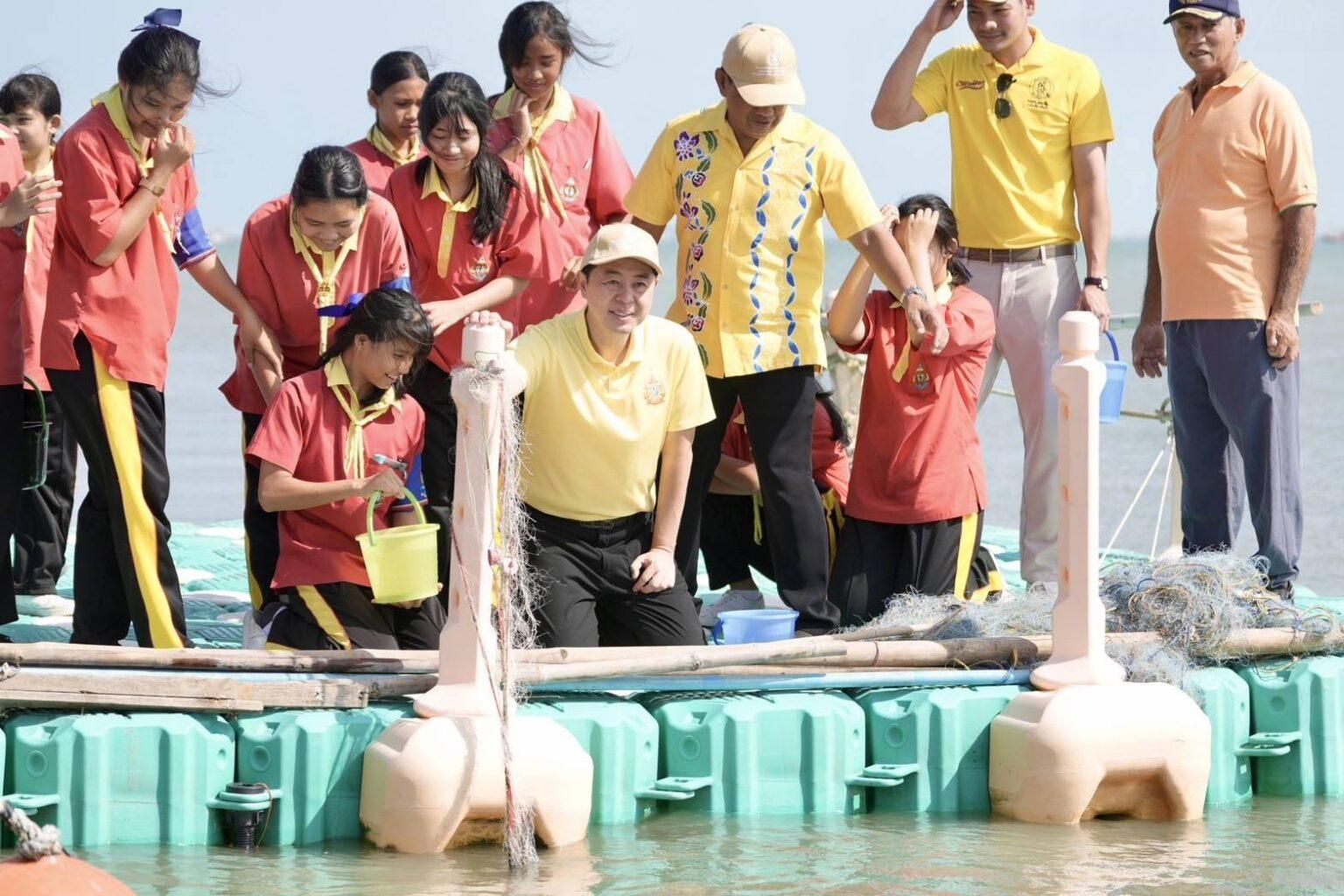 Паттайя запускает экотуристический проект для повышения уровня морской жизни