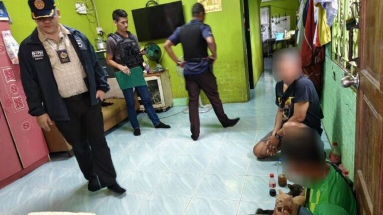 Полиция Наративата изъяла 40 кг зелья кратона в результате наркозакупки