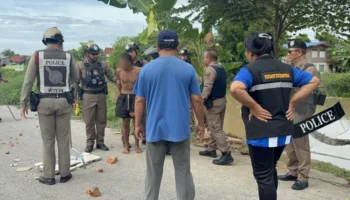 Психиатрический пациент устроил хаос с резней мачете