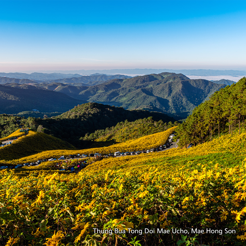 Садитесь в путь по Таиланду, и вы удивитесь тем вещам, которые многие туристы пропускают.