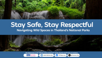 Советы по безопасности при встрече с дикими слонами