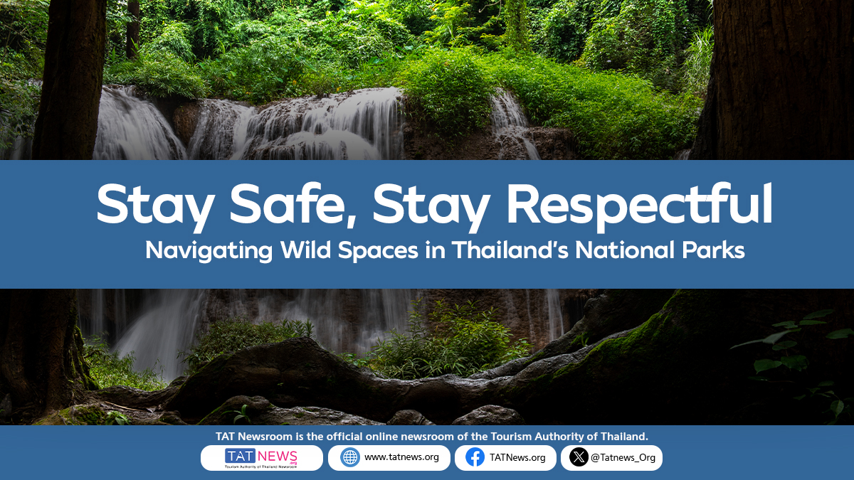 Советы по безопасности при встрече с дикими слонами