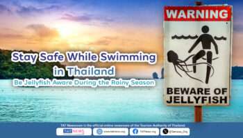 Советы по безопасности с медузами в Таиланде – что туристам следует знать перед купанием