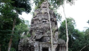 'Социальные медиа вызывают недовольство'