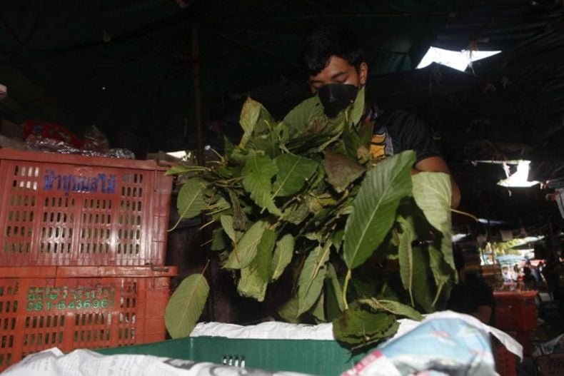 Таиланд обеспокоен возможным запретом кратона на фоне опасений по поводу его злоупотребления