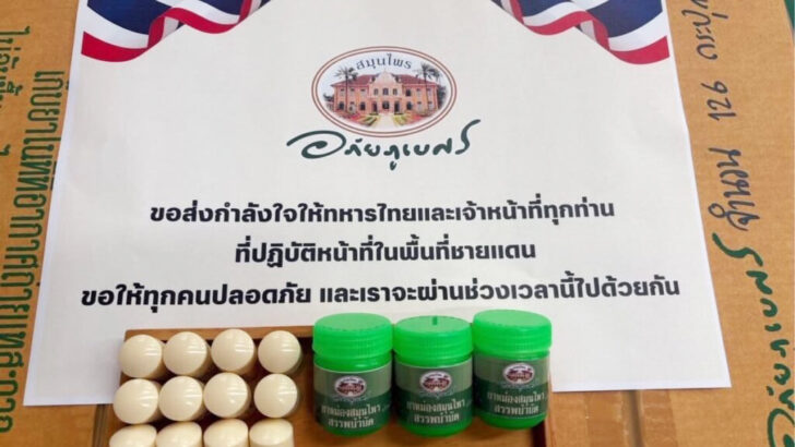 Таиланд отправляет маски и ингаляторы пограничникам, перегруженным запахами трупов