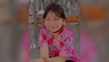 Таиландская бабушка обращается за помощью в поисках пропавшей 12-летней девочки в Чонбури