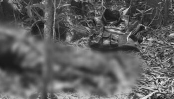 Таиландский солдат якобы совершил самоубийство после стрельбы в 2 гражданских лиц в Сурине