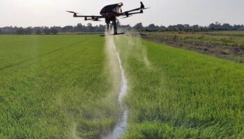 Тайланд разрешает использование сельскохозяйственных дронов при строгих регуляциях