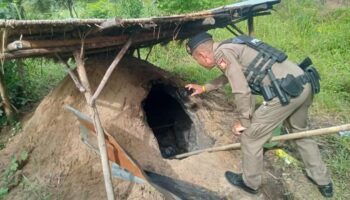 Тайская пара призналась в убийстве новорожденного и сжигании тела в Хон Каене