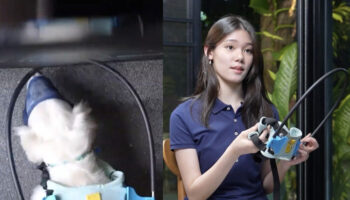 Тайский студент завоевал золото на iCAN 2025 с помощью переработанной мобильной помощи для домашних животных