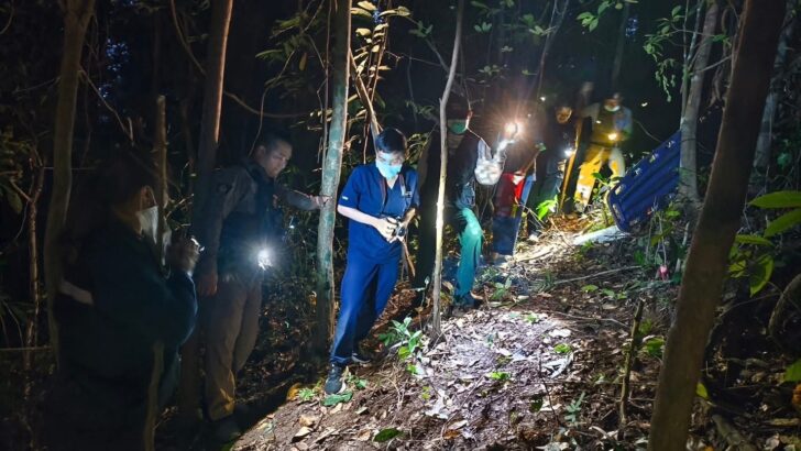 Турист найден мертвым в лесу Дои Сутеп в Чианг Мае