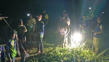 Ужасная загадка убийства разворачивается в лесу Транг