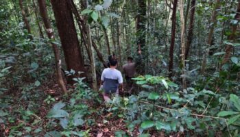 Хайкер найден мертвым на Дой Сутепе в Чианг Мае после распада семьи